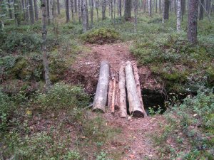 A log bridge crossing a ditch