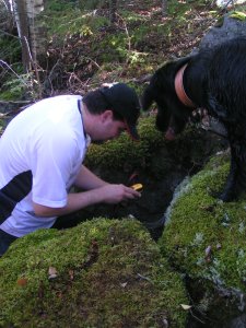 Ramin and Flippe searching