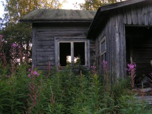 An abandoned farm