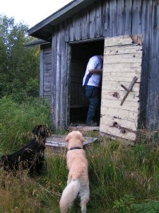 Ramin and Kassu investigating the farmhouse