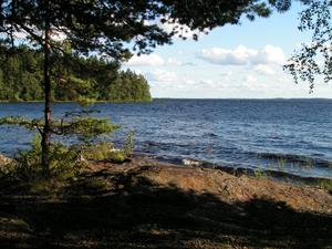 View of Pyhäselkä