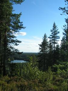 Pärnävaara